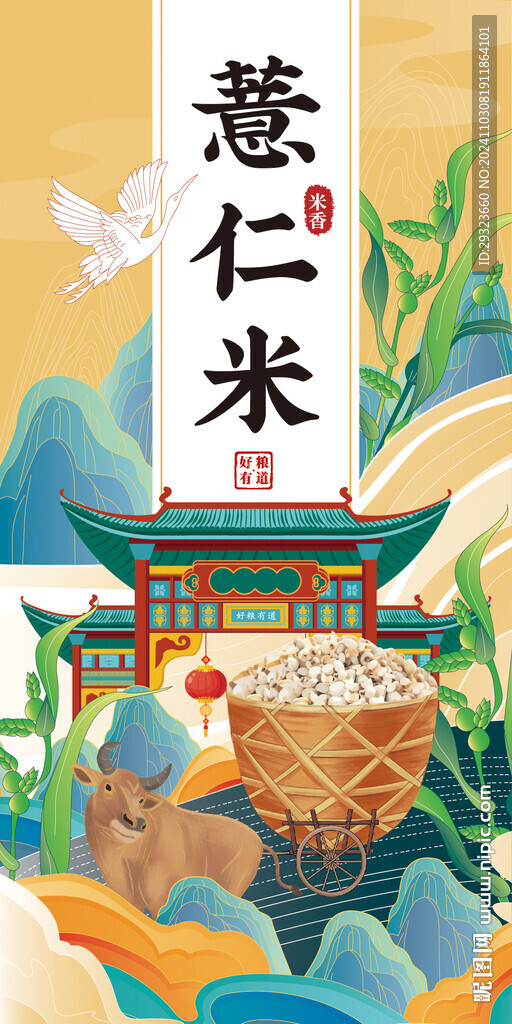 薏仁米