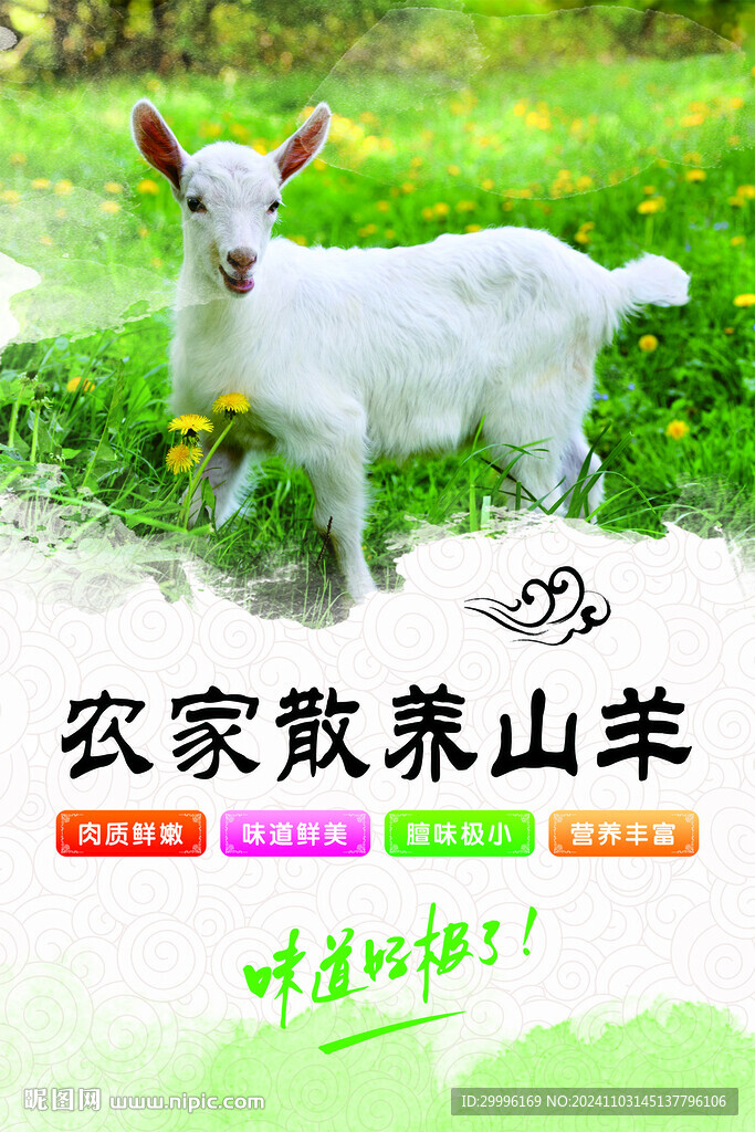 散養(yǎng)山羊