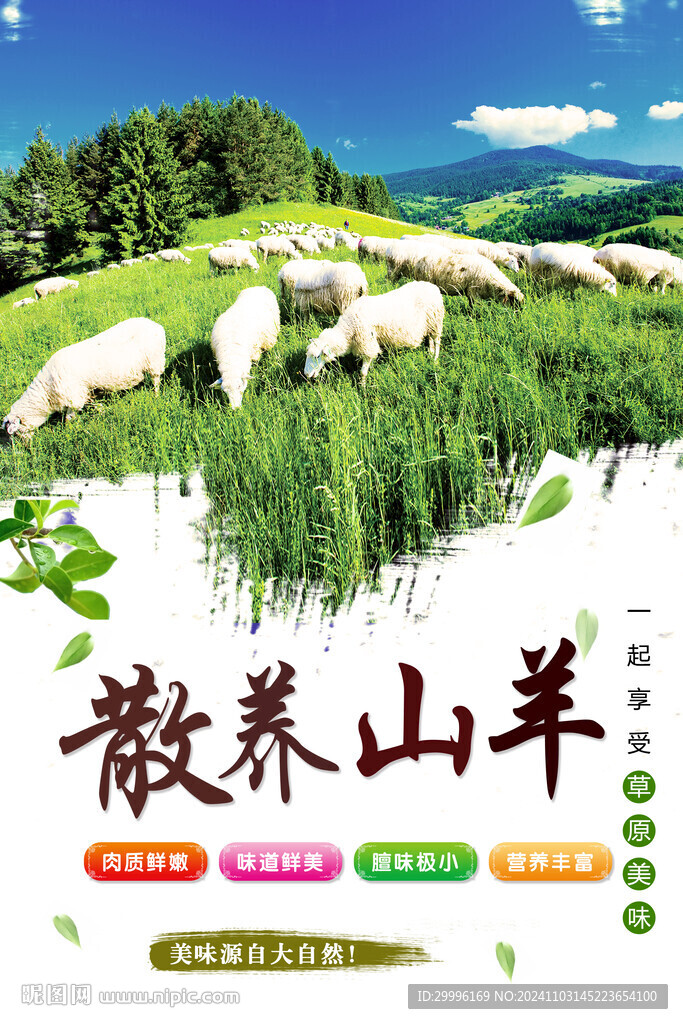 散養山羊