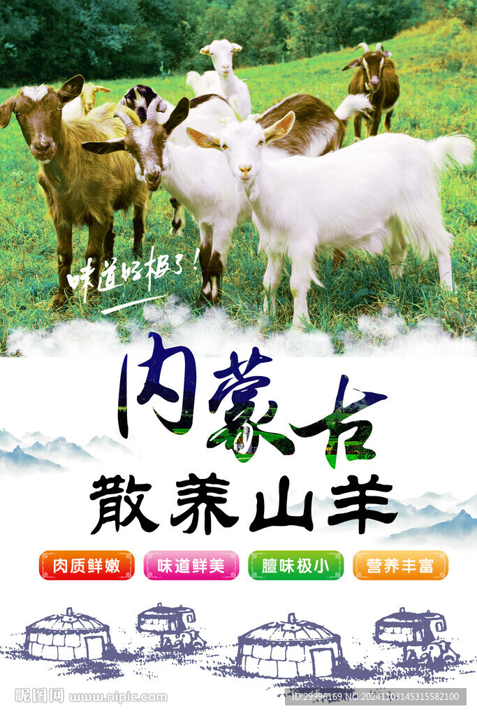 散養山羊