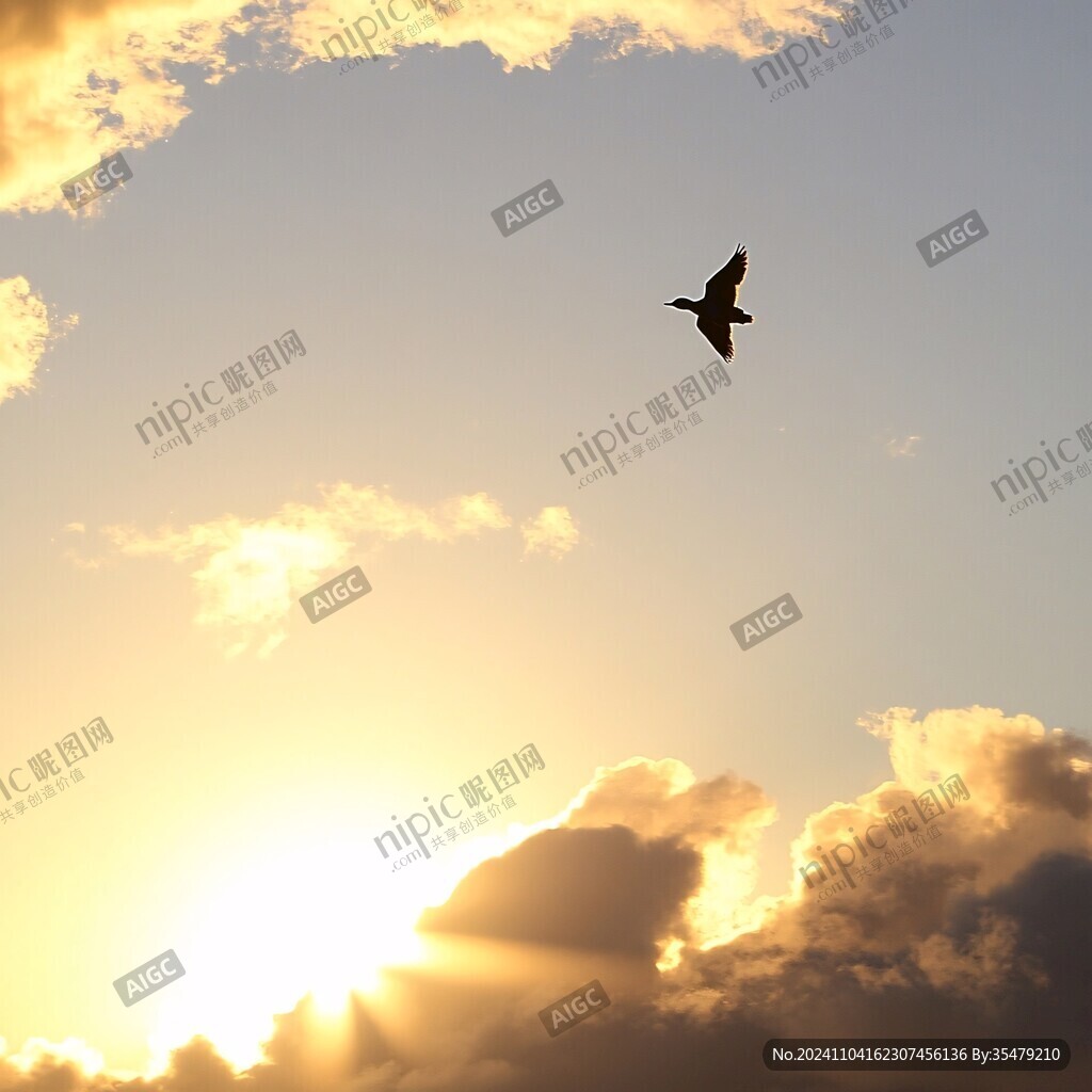晚霞天空飛鳥(niǎo)