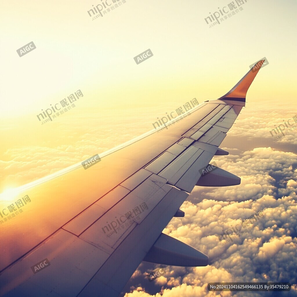 日出云海中的機翼