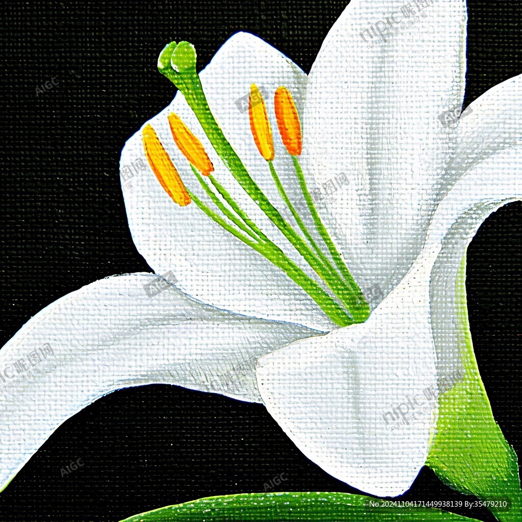 百合無框畫