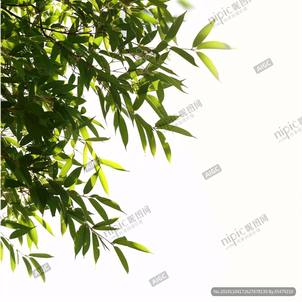 白底簡(jiǎn)約綠色竹葉