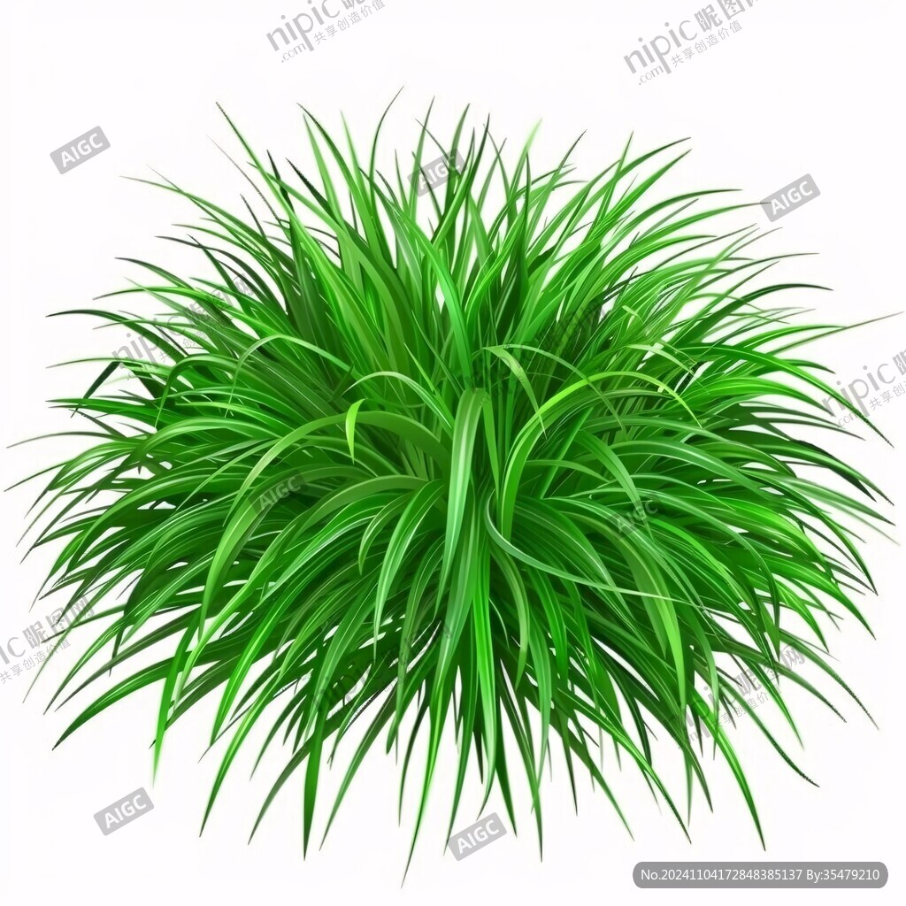 吊蘭花摳圖