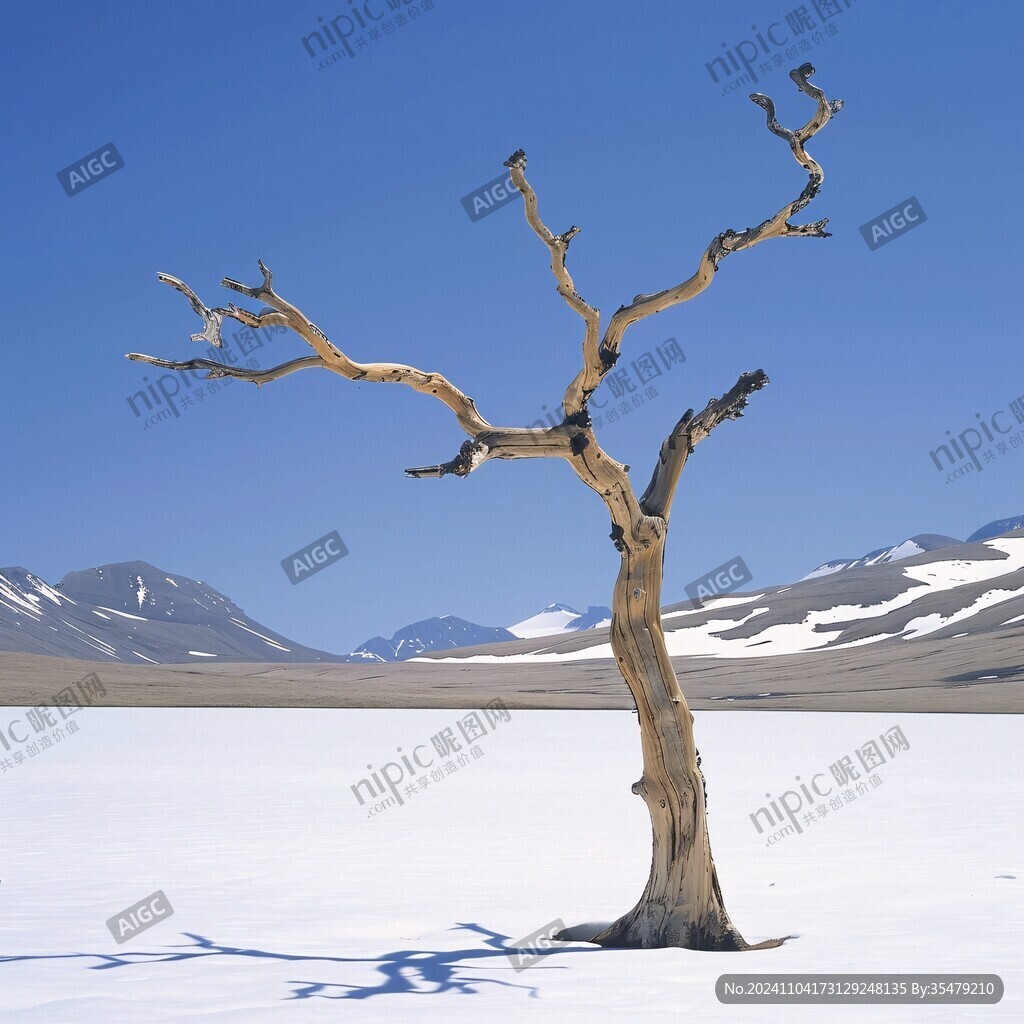 枯木雪景