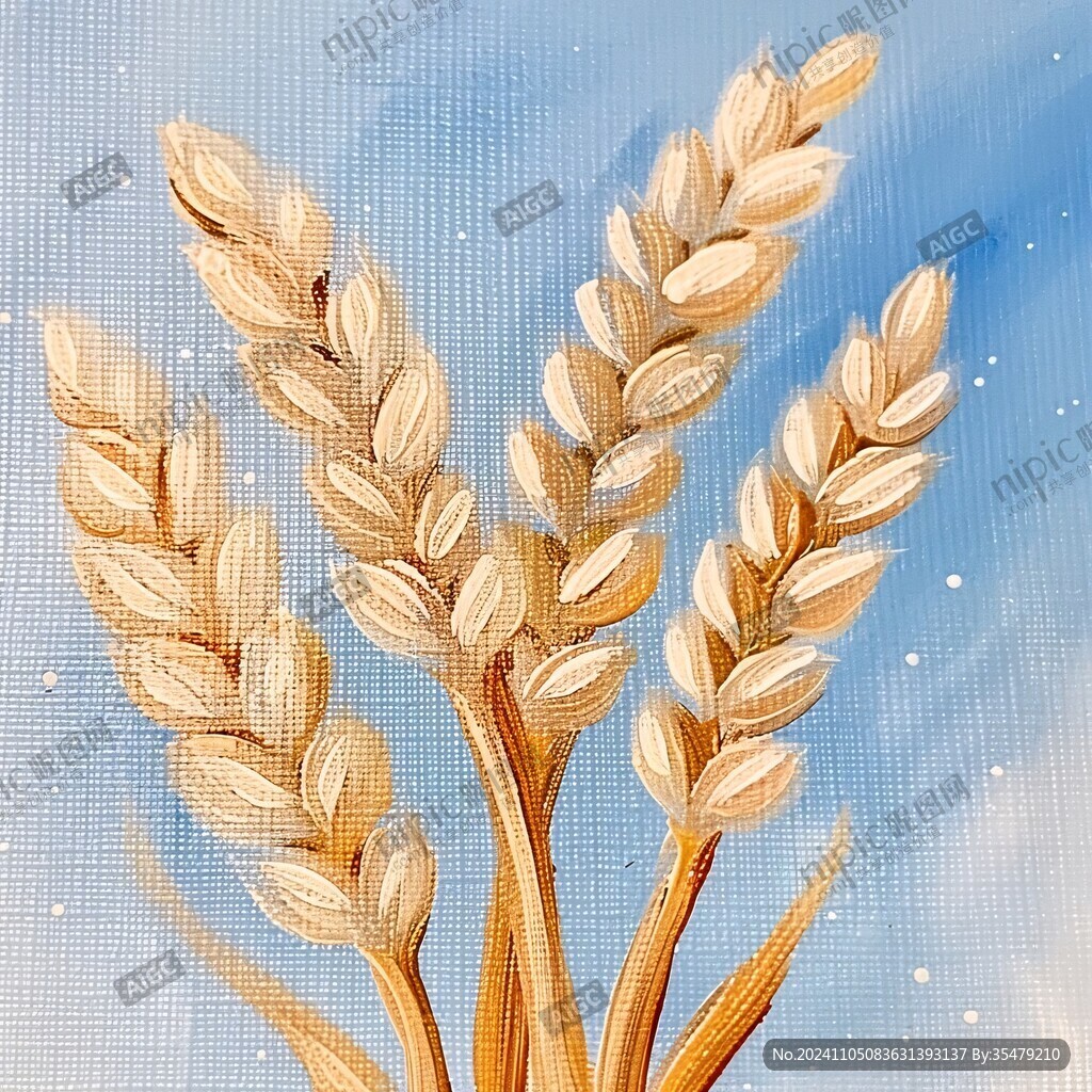麥粒插畫