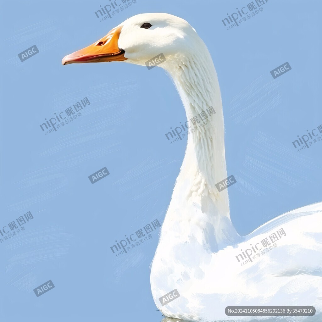 大白鵝插畫