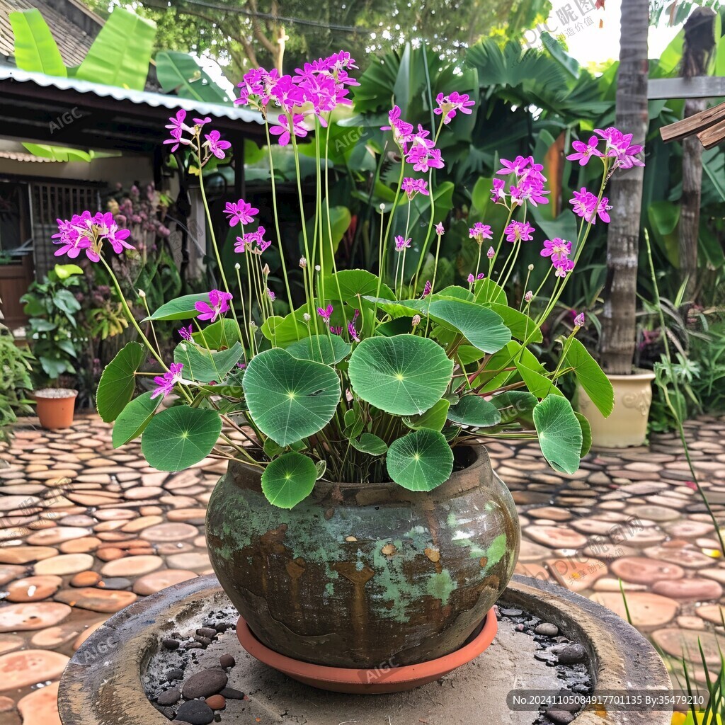 仿真水蓮