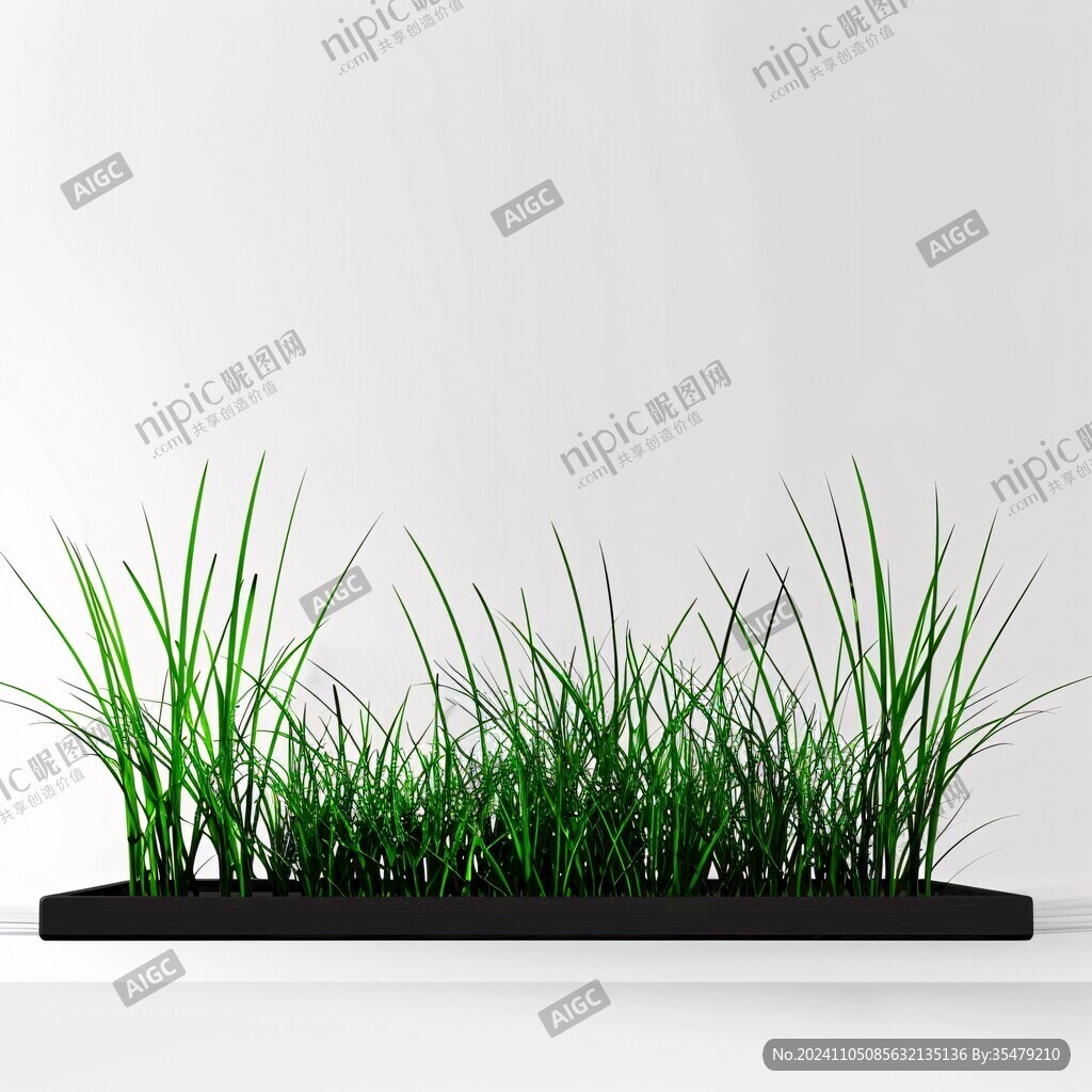 生態草缸