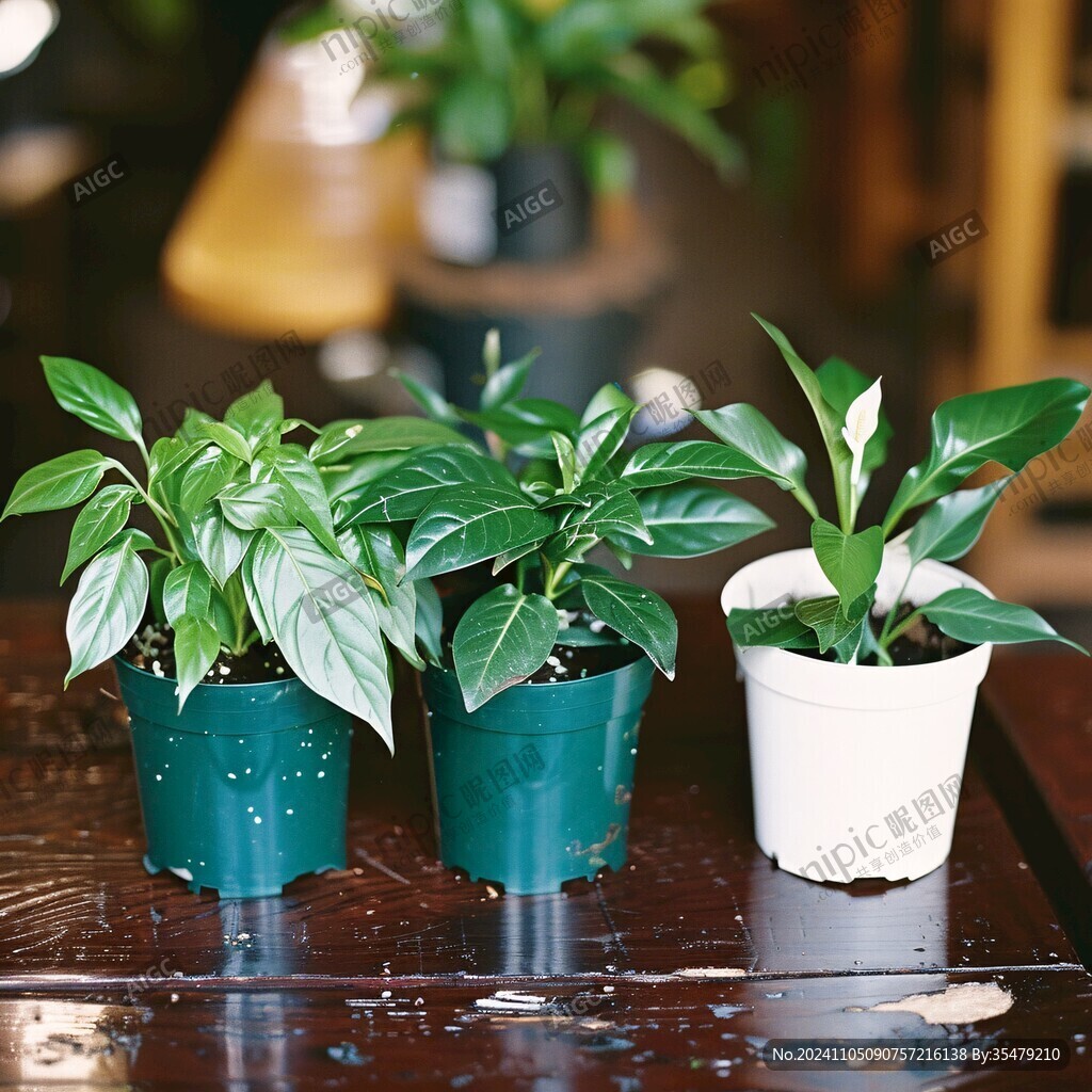 辦公室迷你綠植招財手