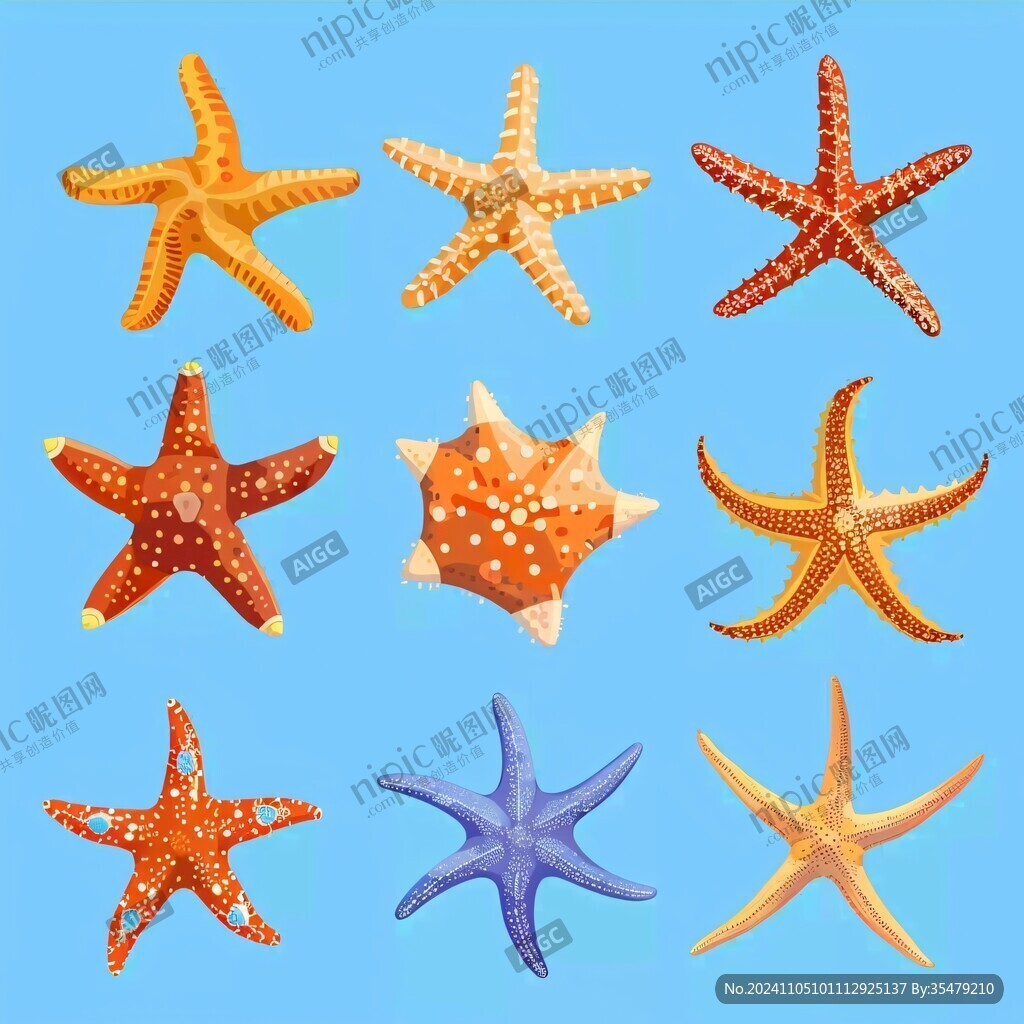 海星圖片素材下載