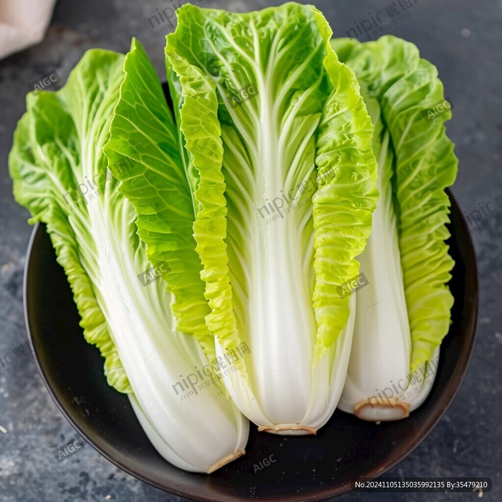 膠東大白菜紹菜黃牙白