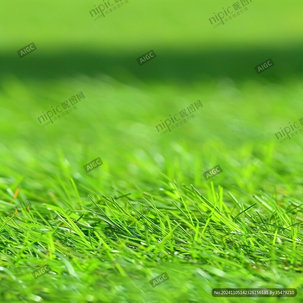 高清綠草青青