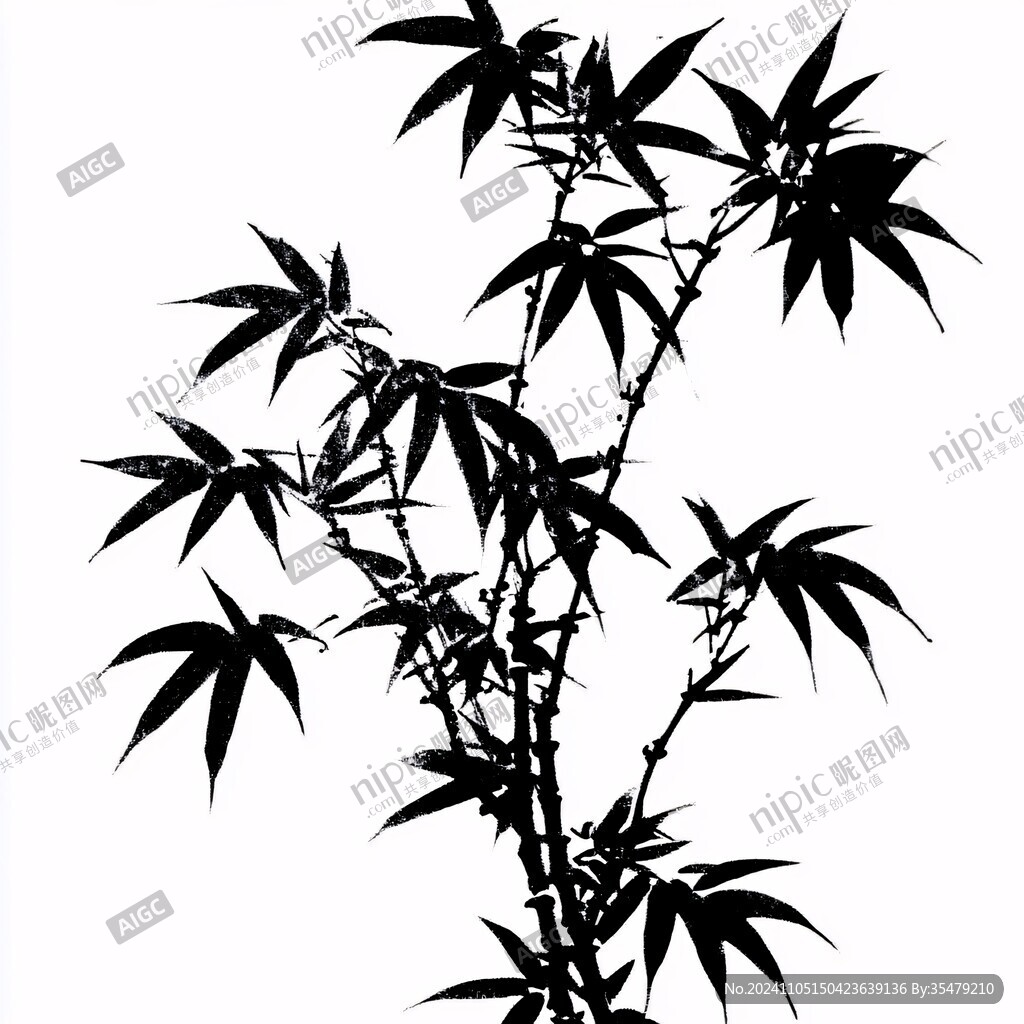 黑白竹子圖片