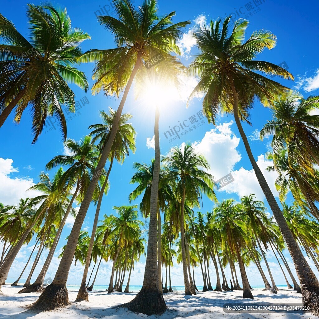 海邊椰子樹海邊椰樹