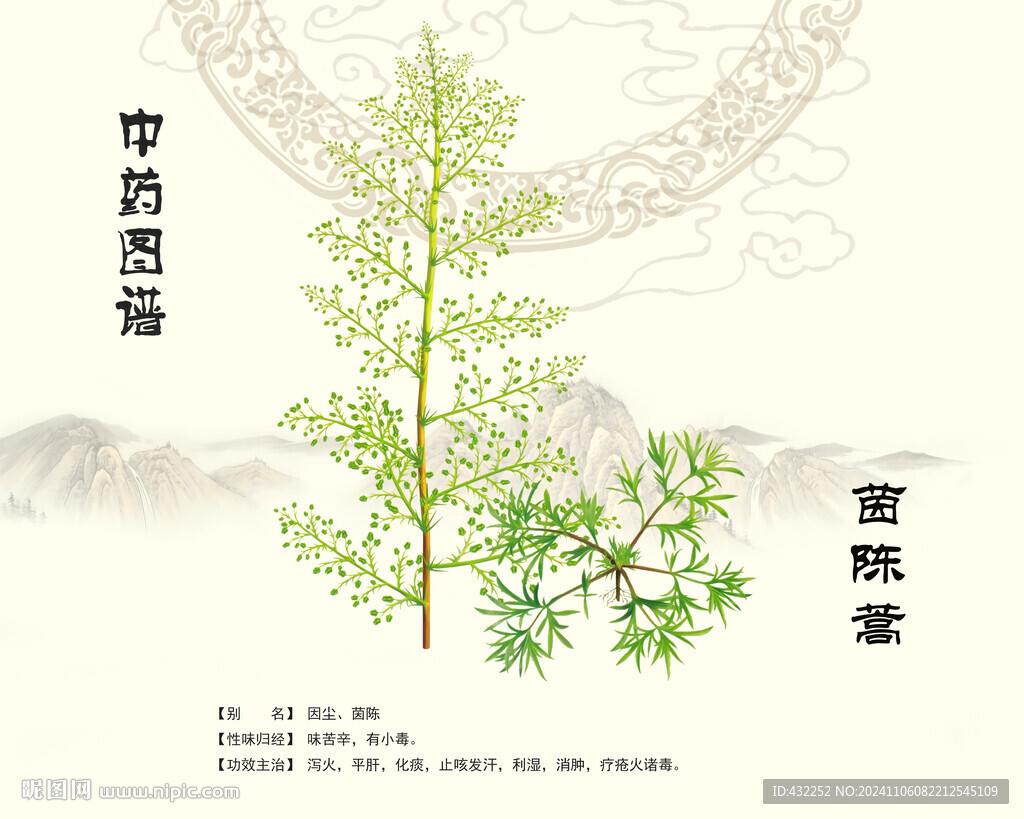茵陳茵陳蒿