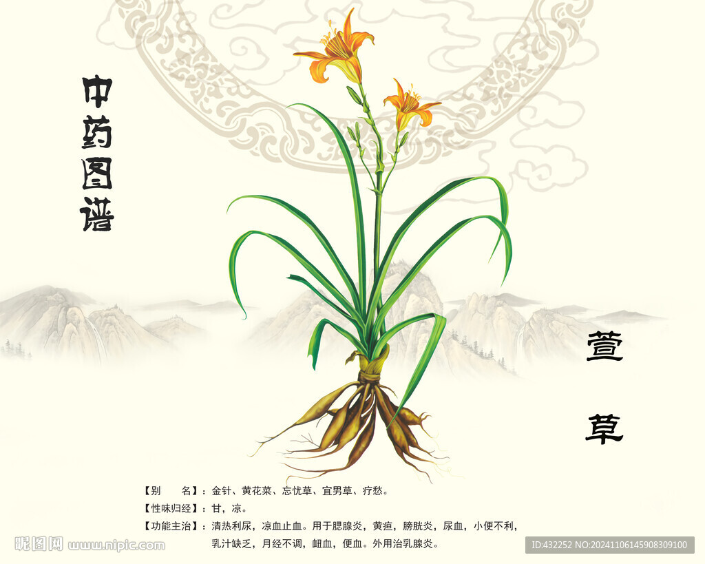 萱草