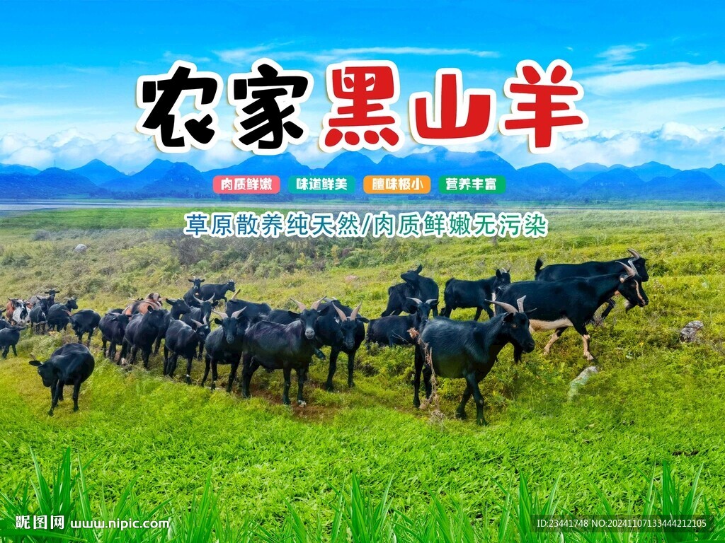 農(nóng)家黑山羊