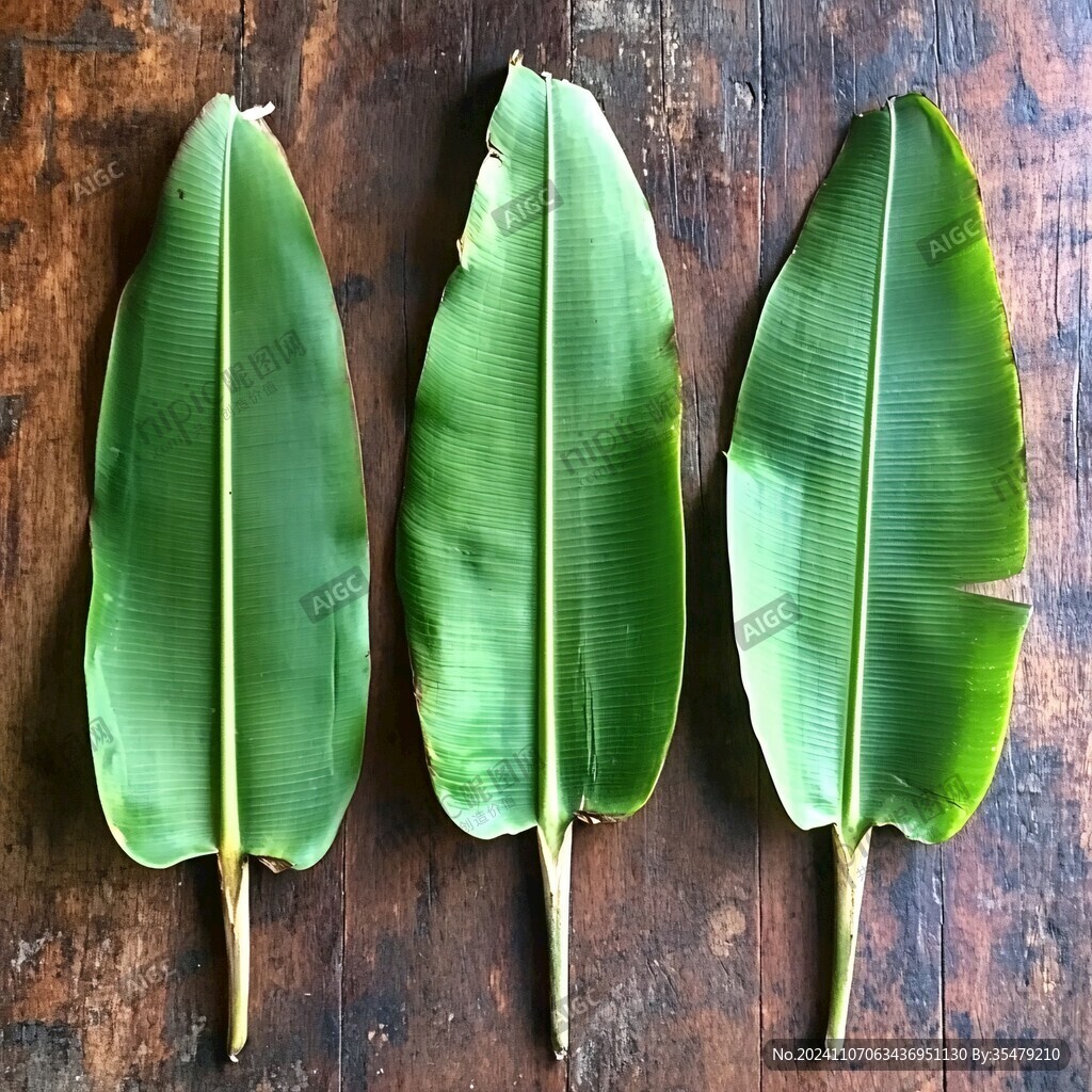 粽粑葉