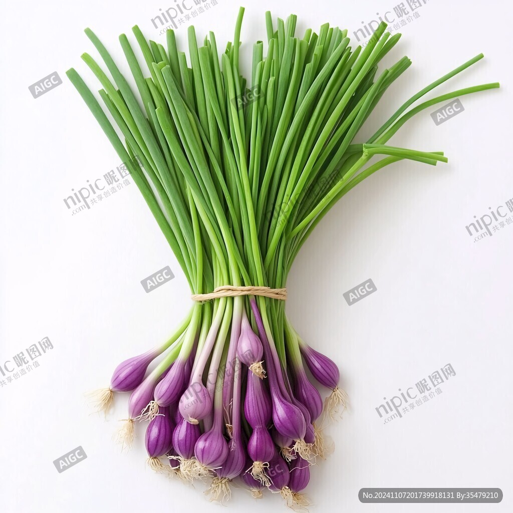 蔥蒜類葉菜類細香蔥