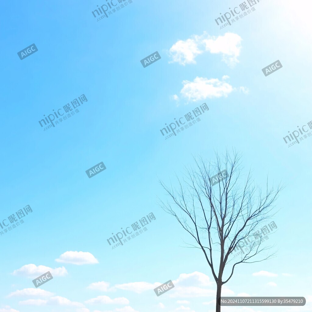 藍天白云枯樹枝
