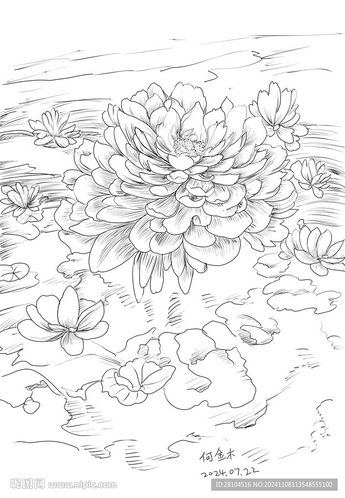 水蓮花