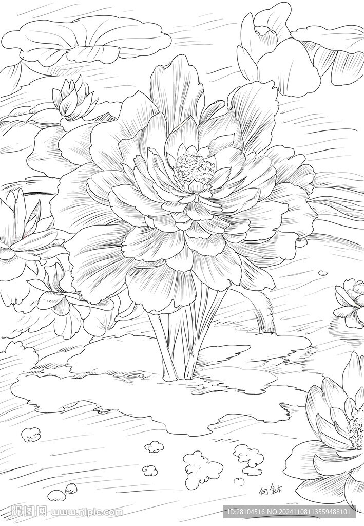 水蓮花