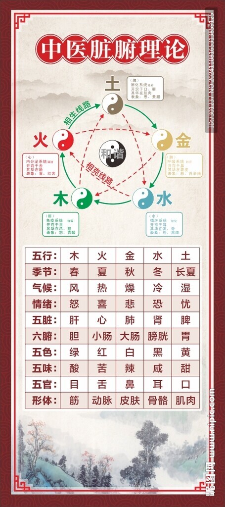 中醫臟腑理論