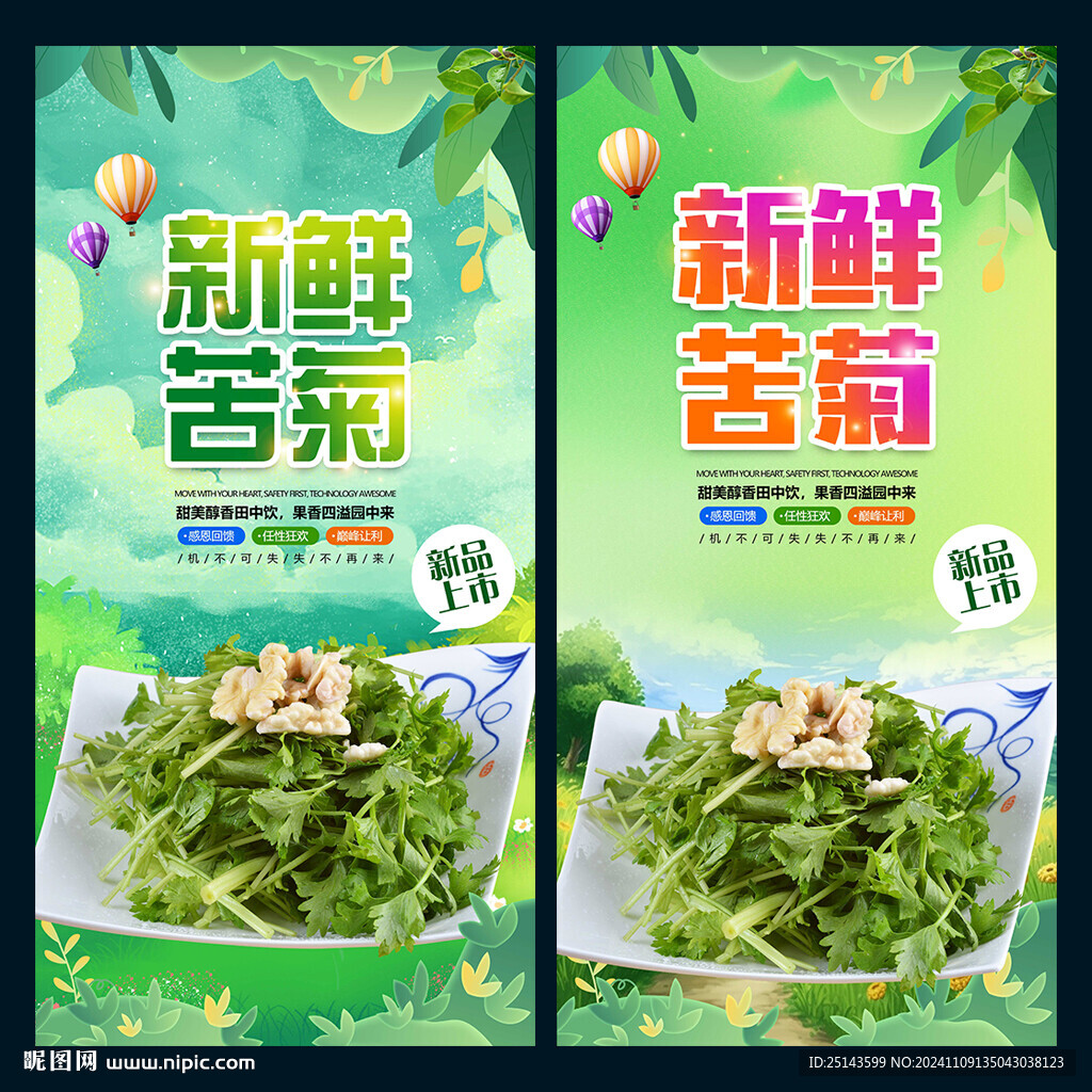 苦菊