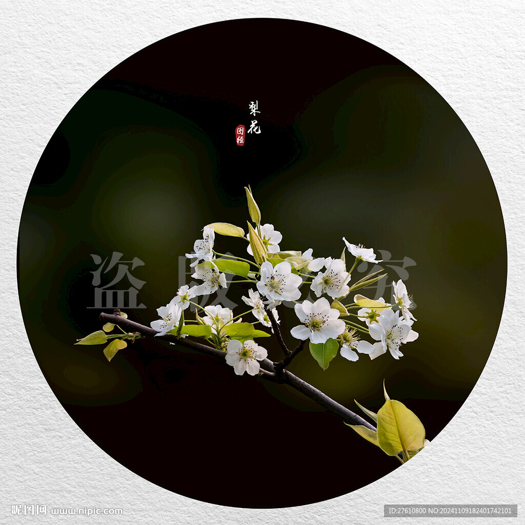 梨花