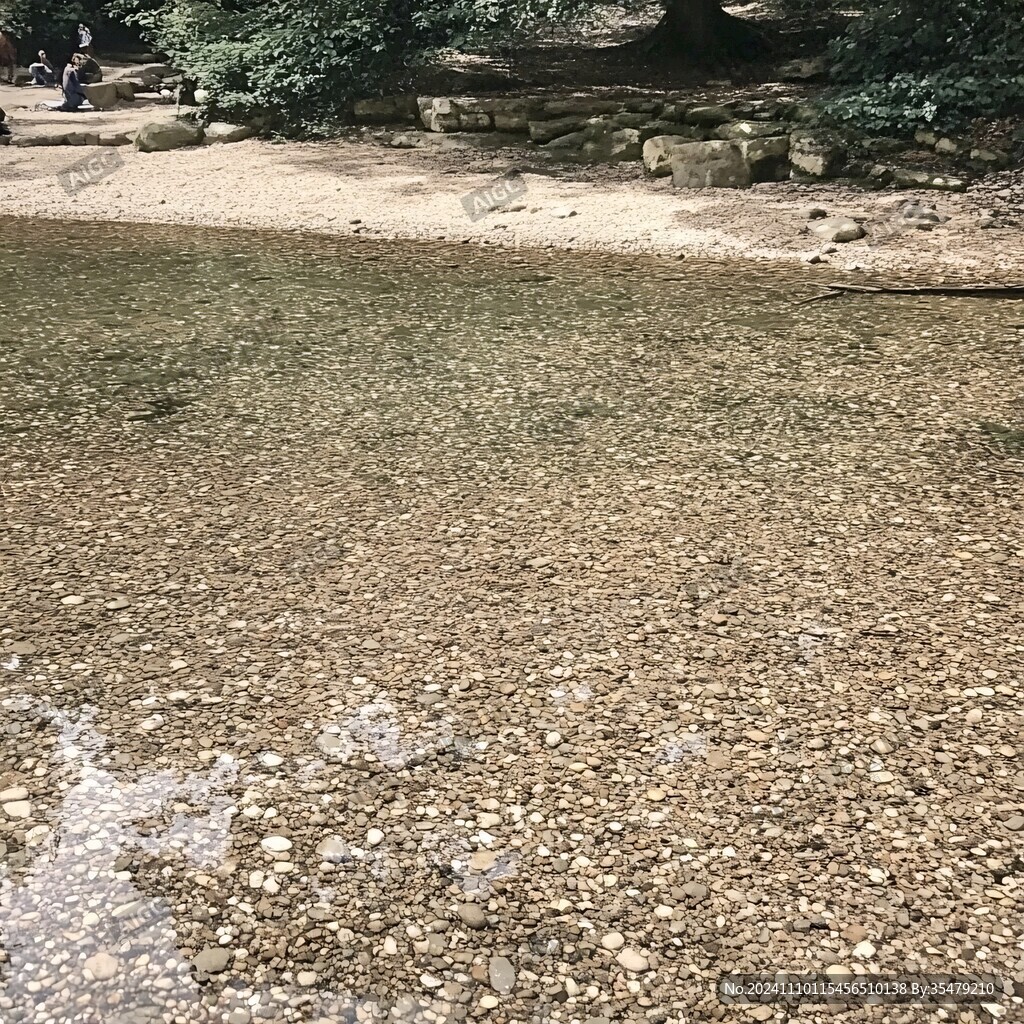 水面黃色落葉
