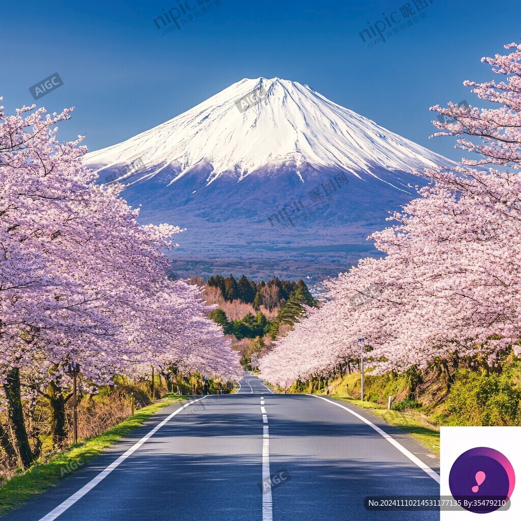 富士山景區(qū)道路