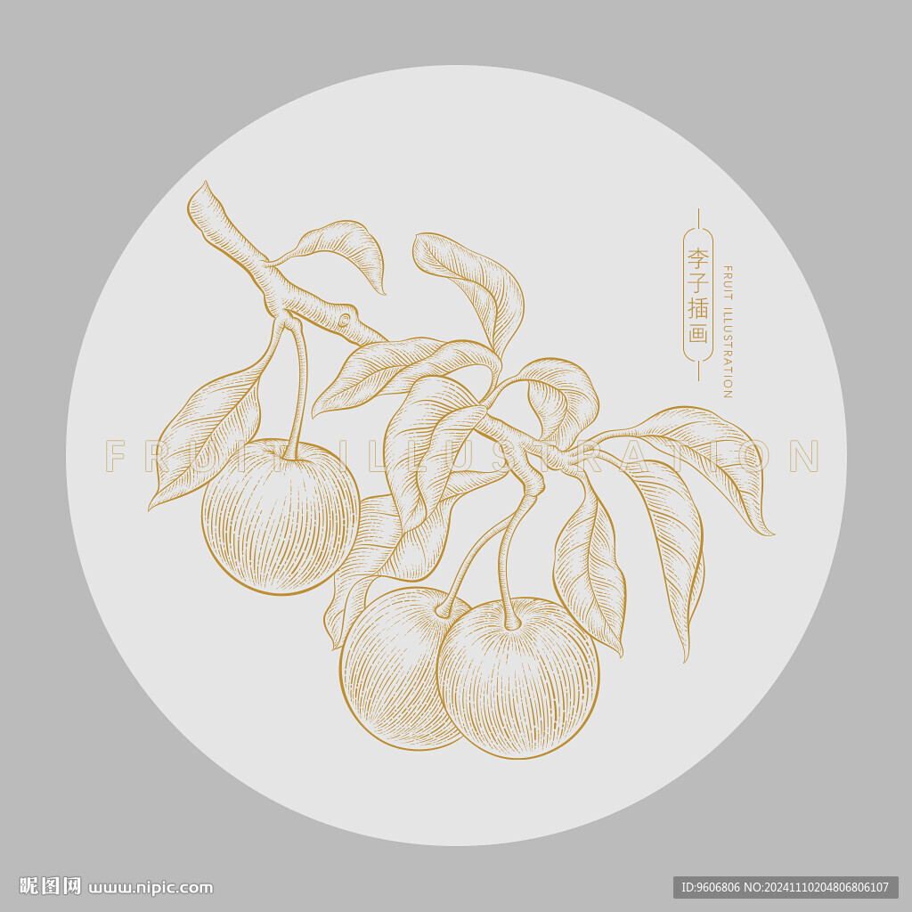 李子插畫
