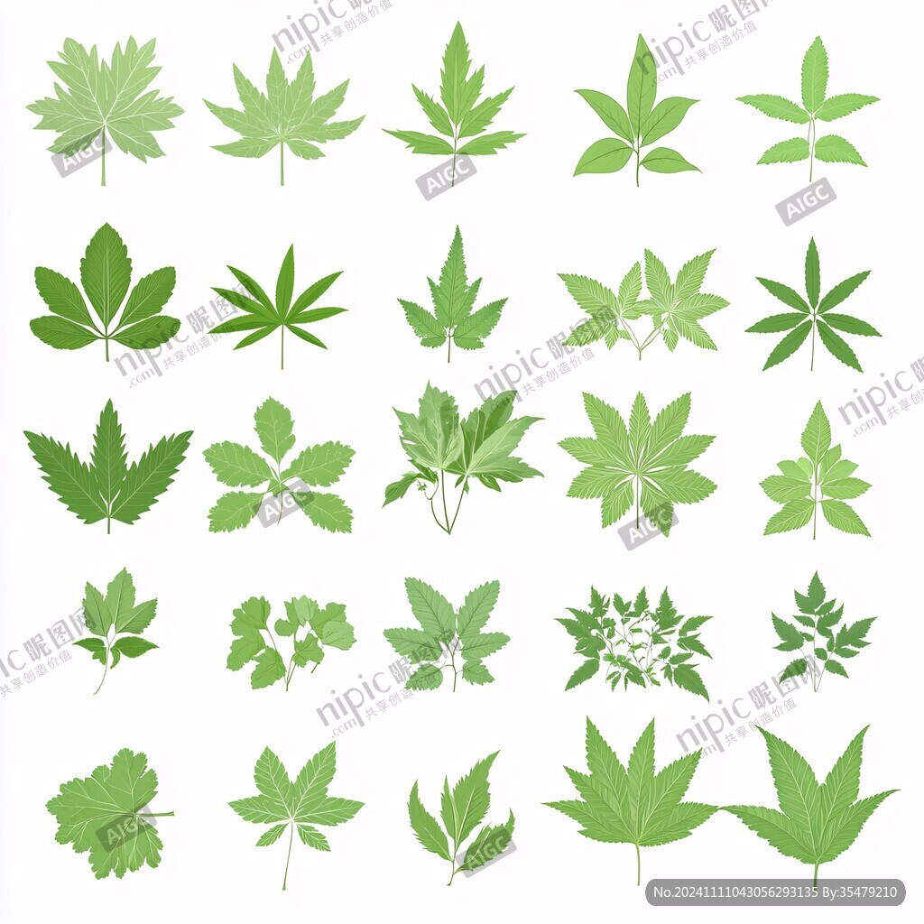 大麻花插畫
