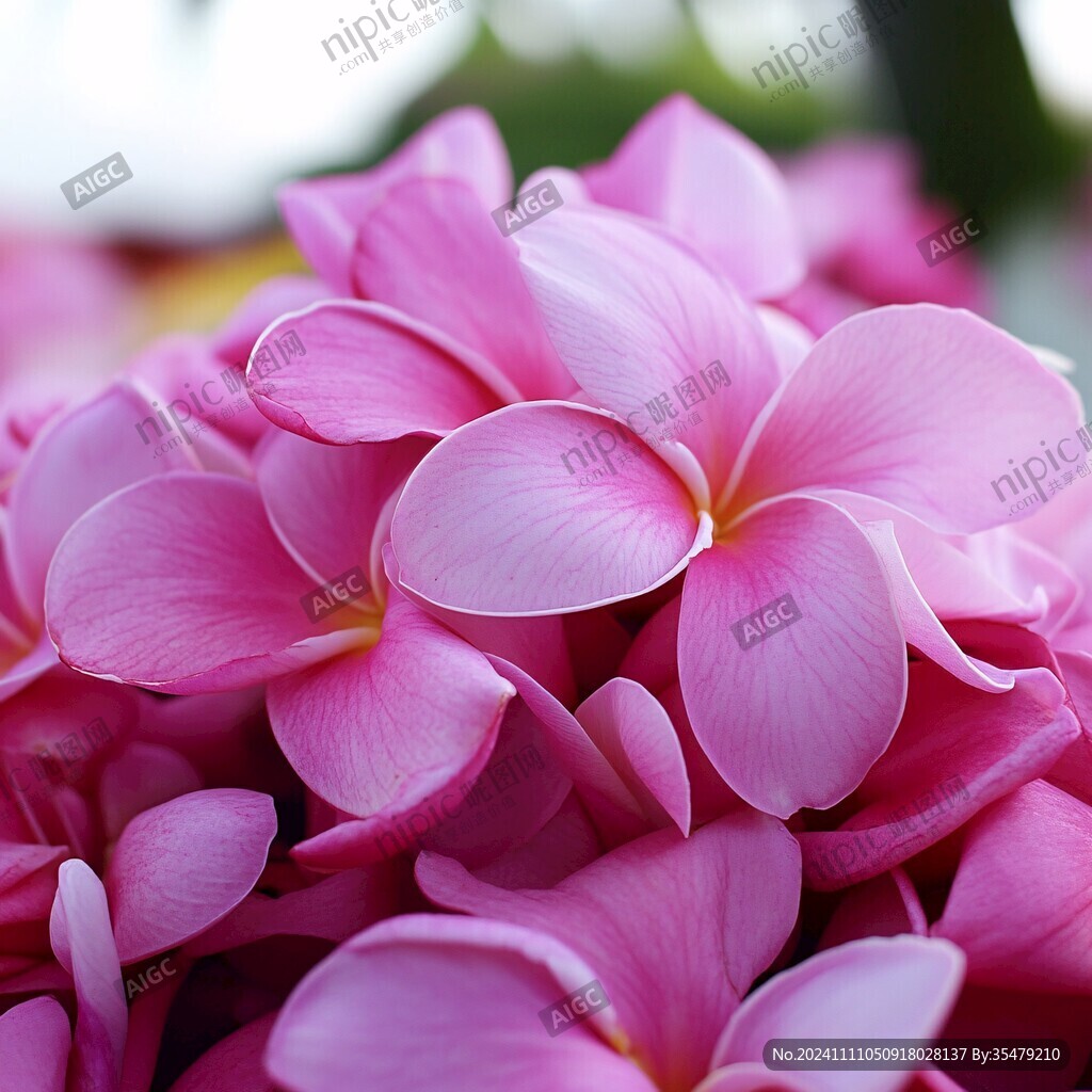 高清仿真花瓣