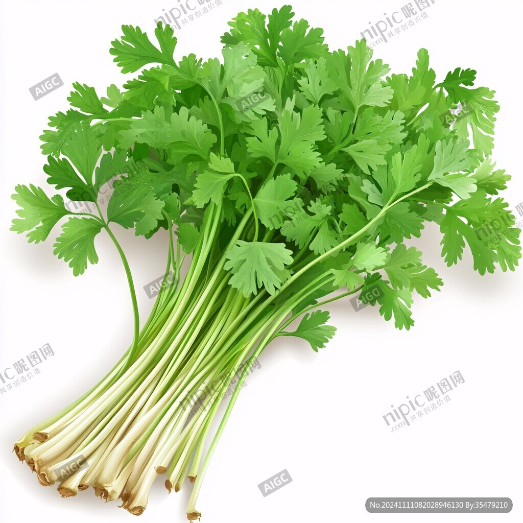 芹菜素材下載