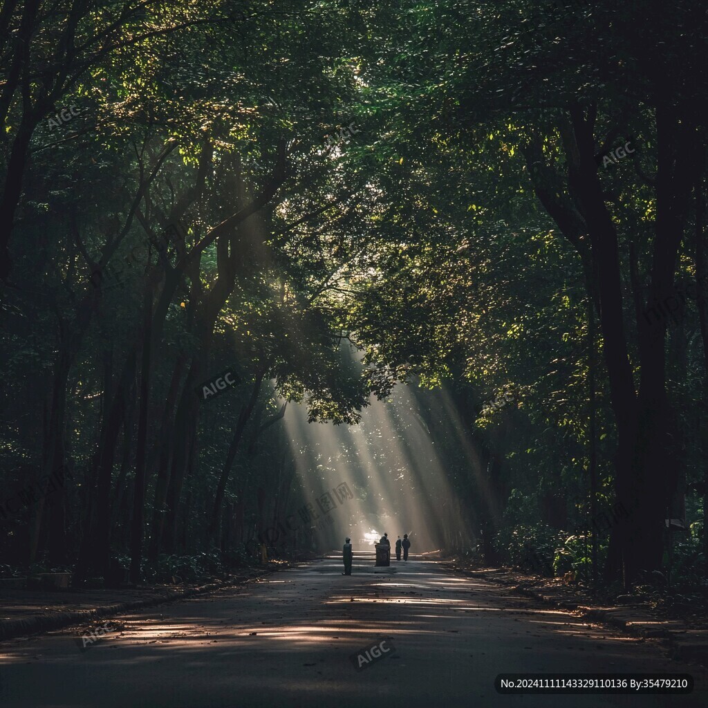 林蔭路光影
