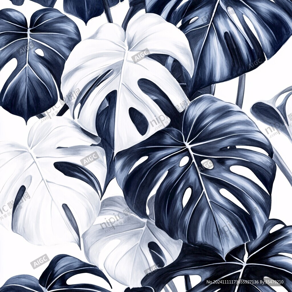 龜背竹插畫