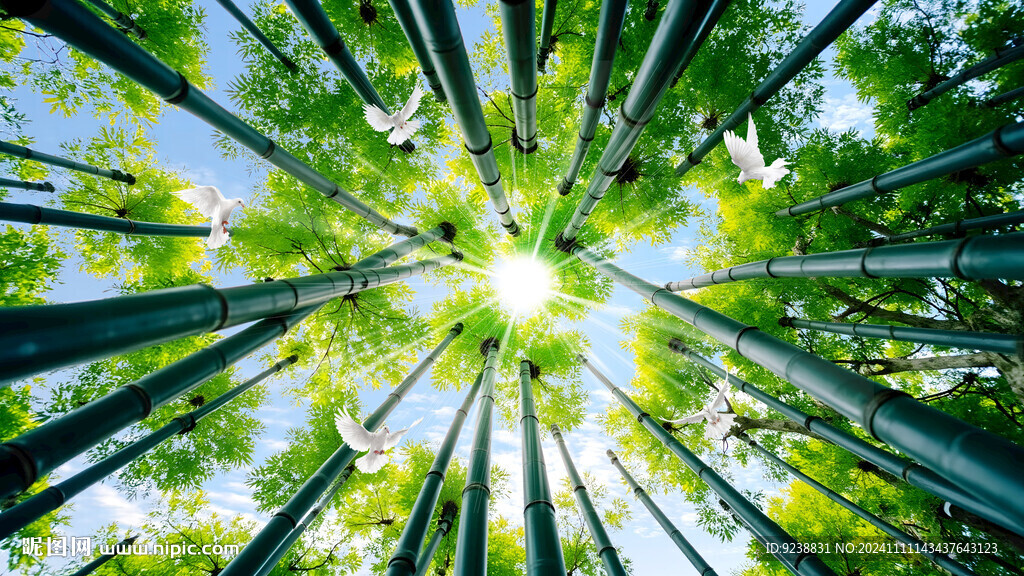 竹林吊頂