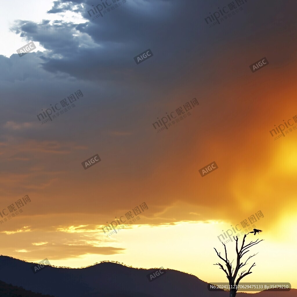 樹背景晚霞素材