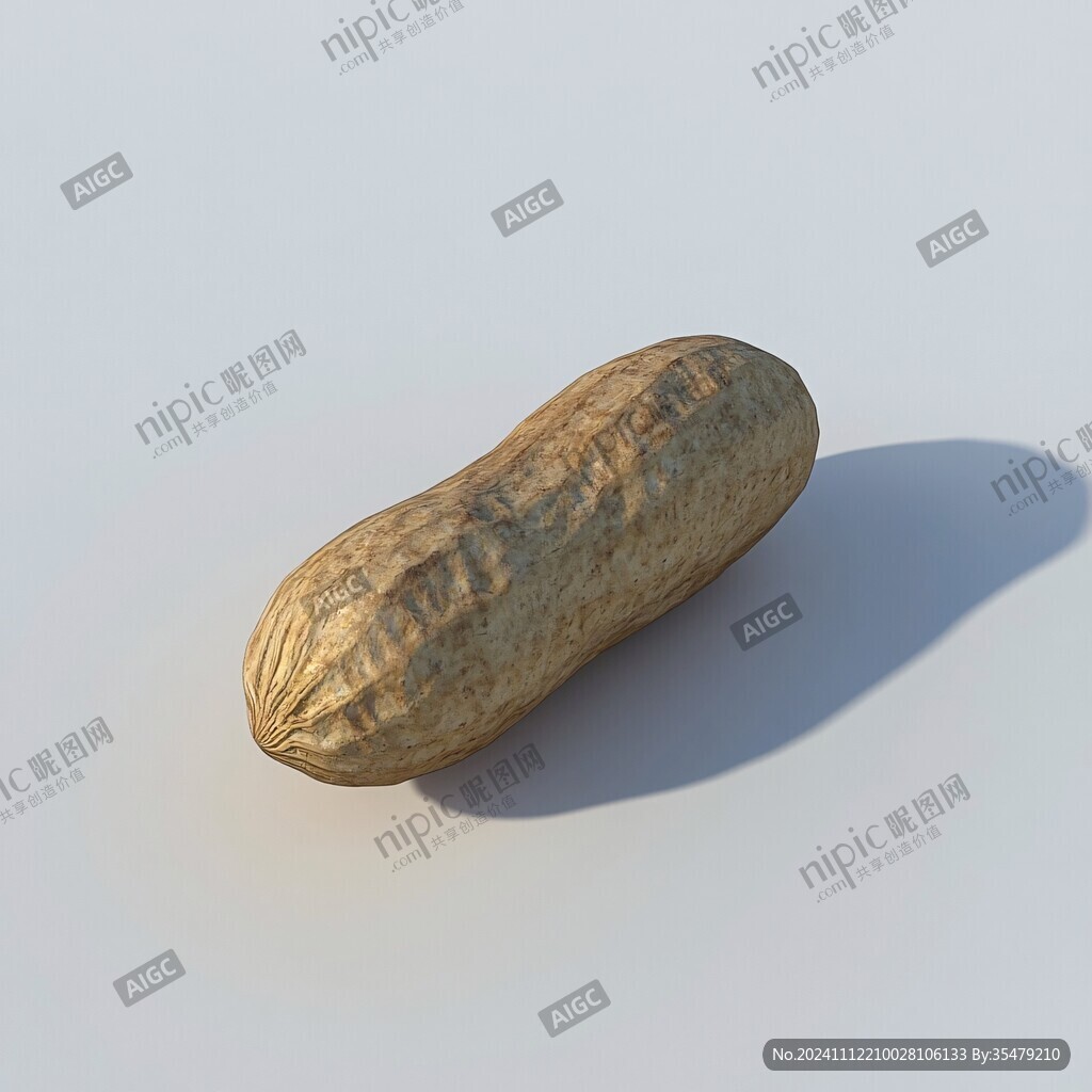 寫實花生