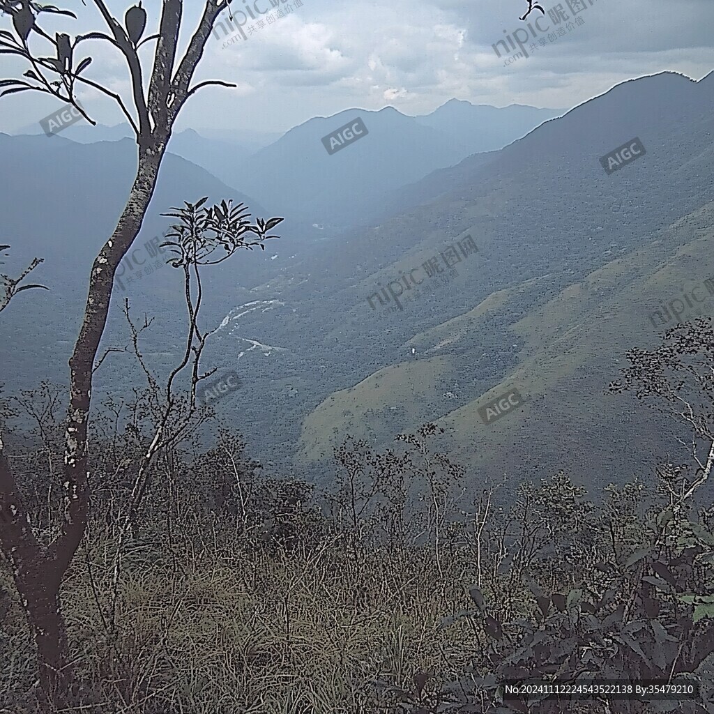 打鼓嶂山頂風光