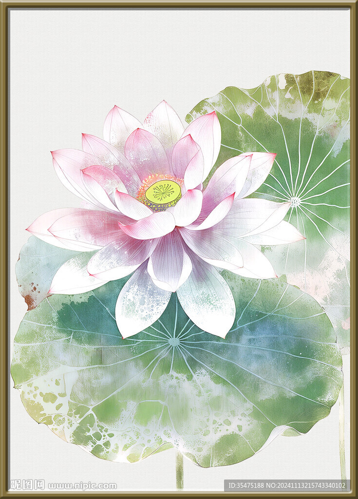 荷花