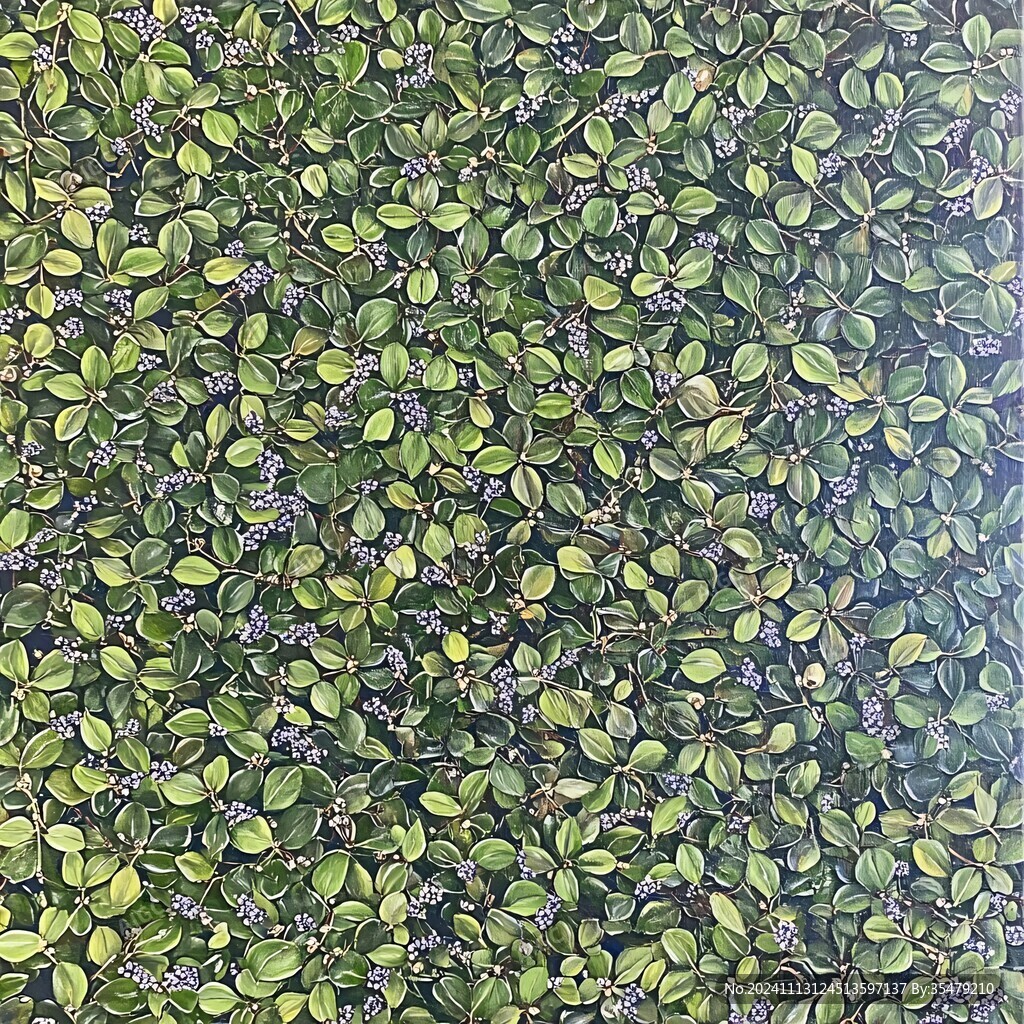滿屏圓葉草