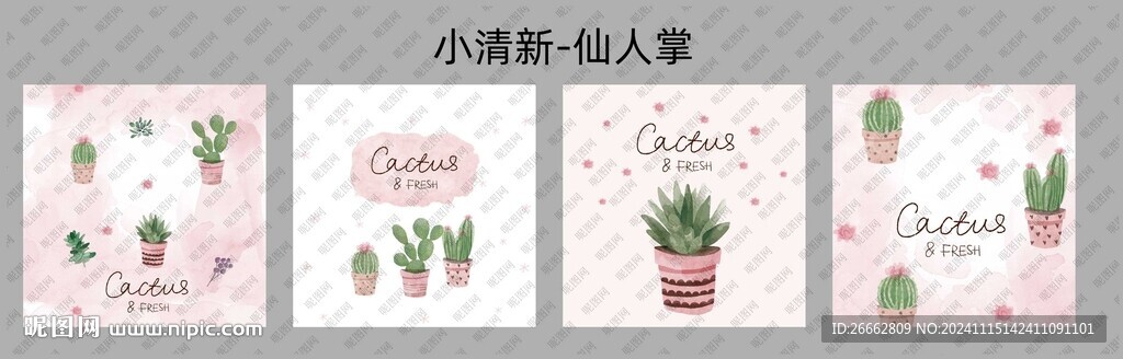 小清新仙人掌