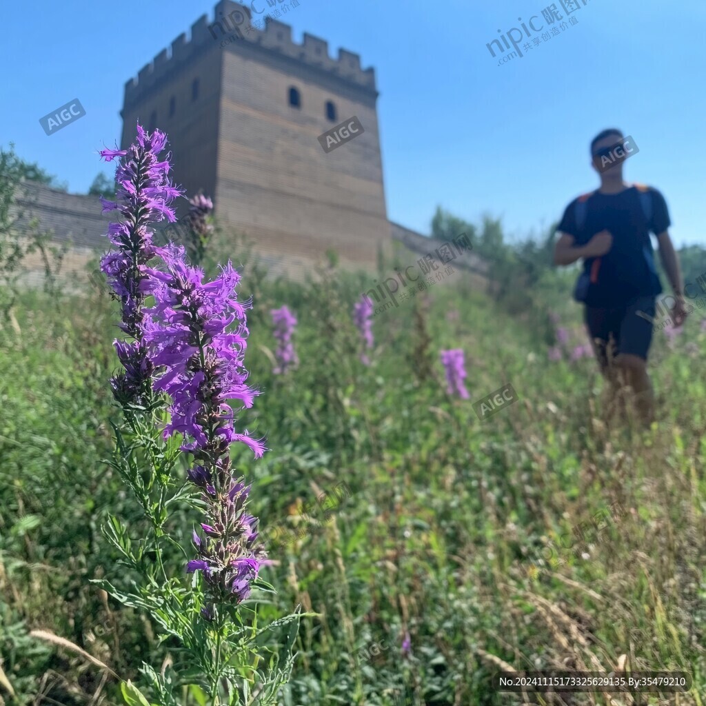 偏頭關城樓