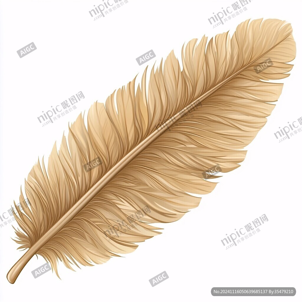羽毛插畫素材