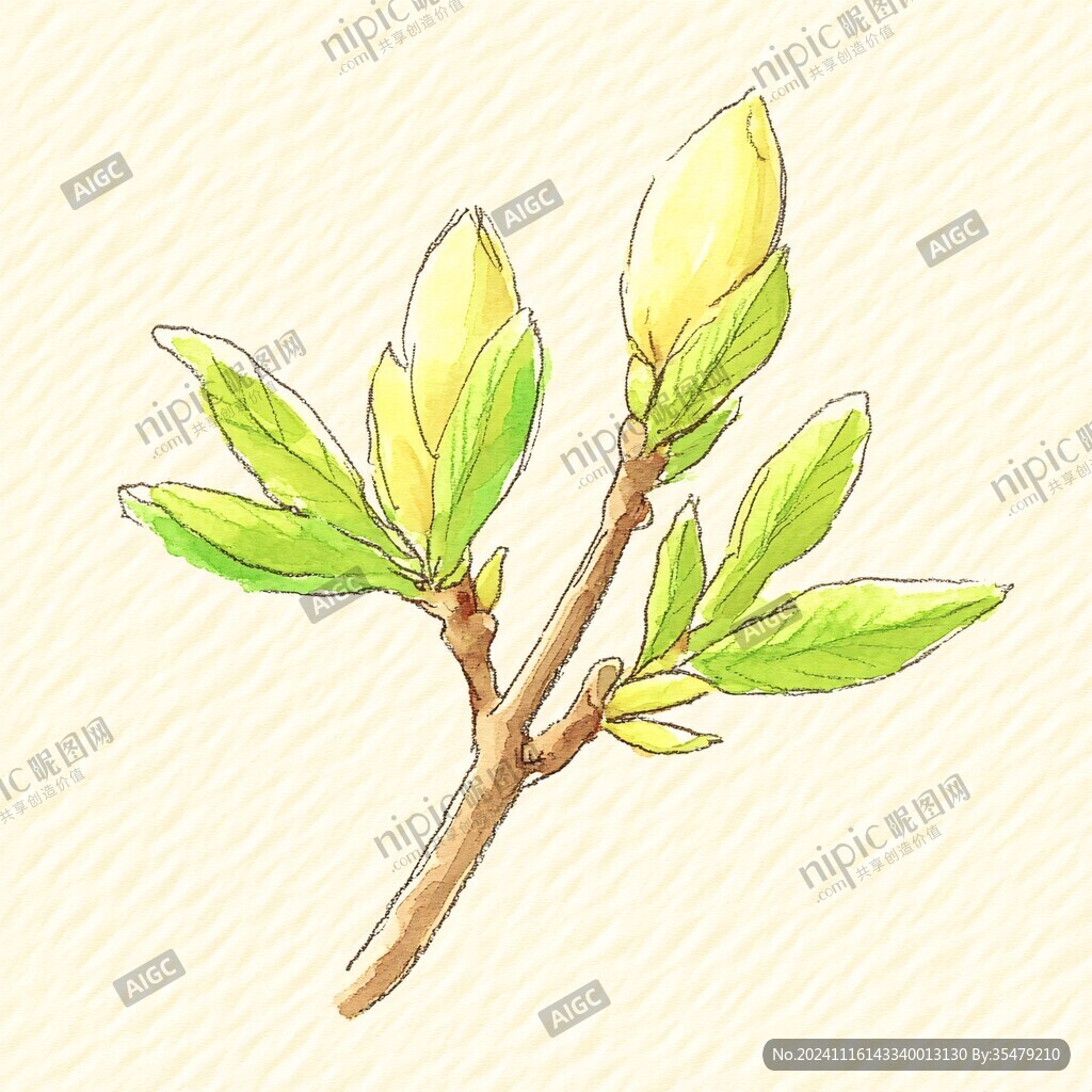 鼠繪葉芽