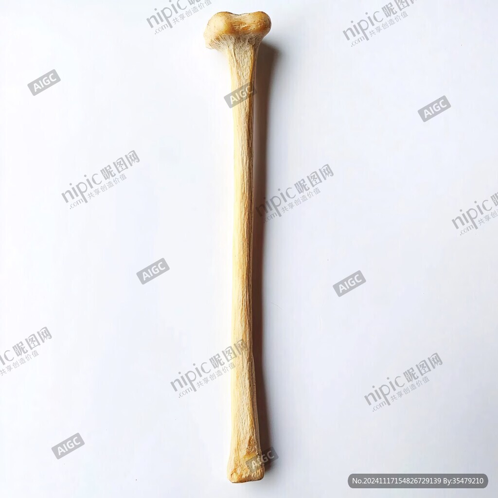寵物磨牙棒骨